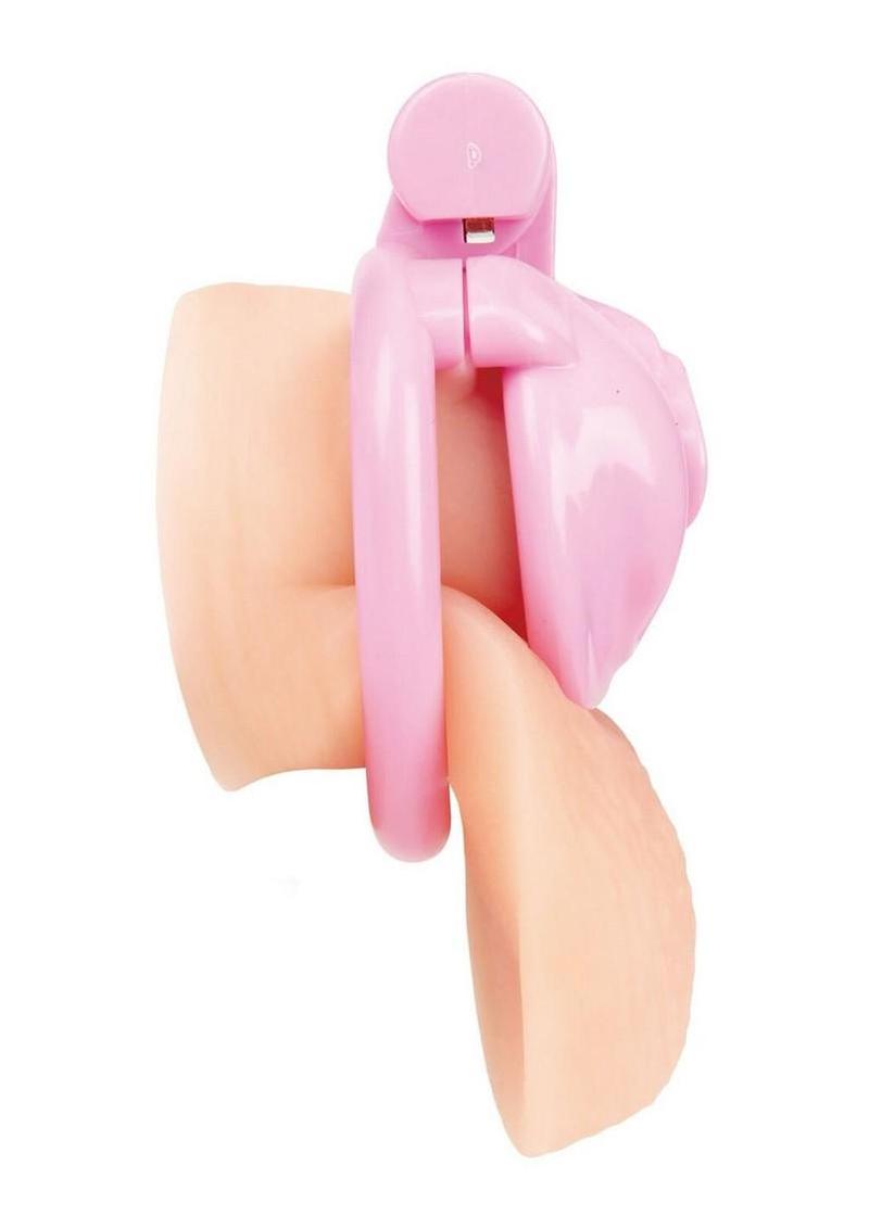 BlueLine Bitchboy Degrading Mini Chastity Cage