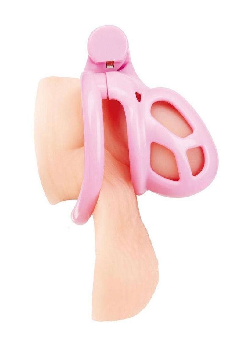 Small Humiliation Acrylic Prisoner Cock Cage