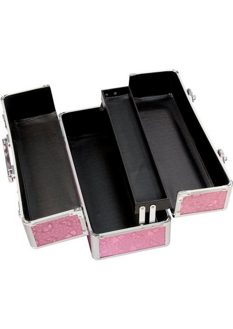 BMS Lockable Toy Case
