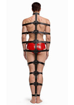 Master Series Backbone Full Body Harness