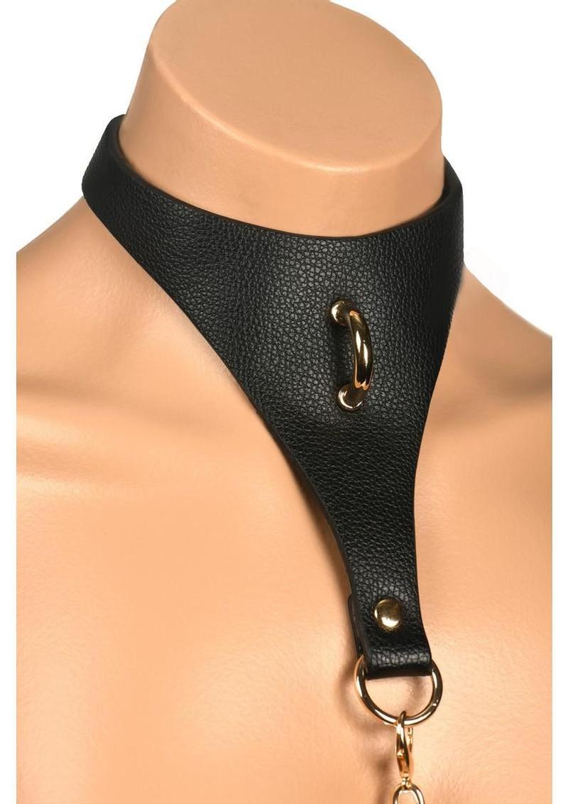 Master Series Captivate Collar