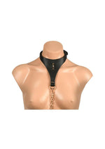 Master Series Captivate Collar