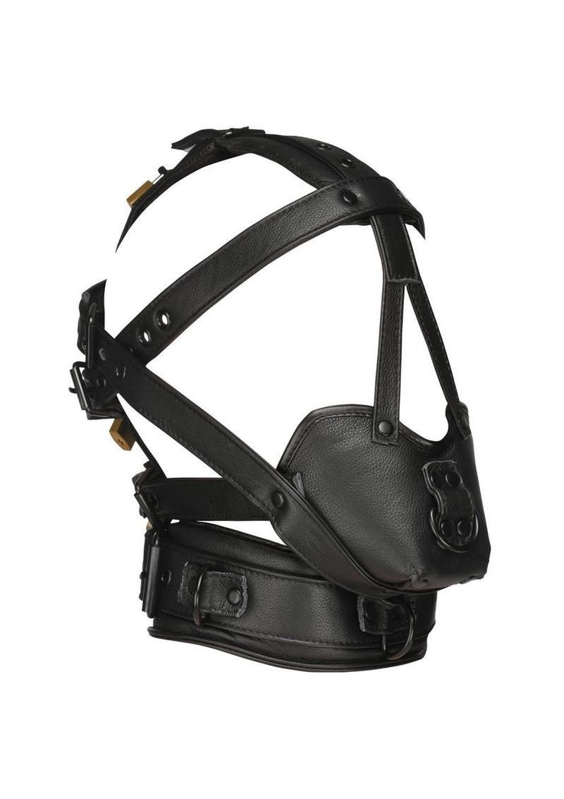 Master Series Leather Head Harness