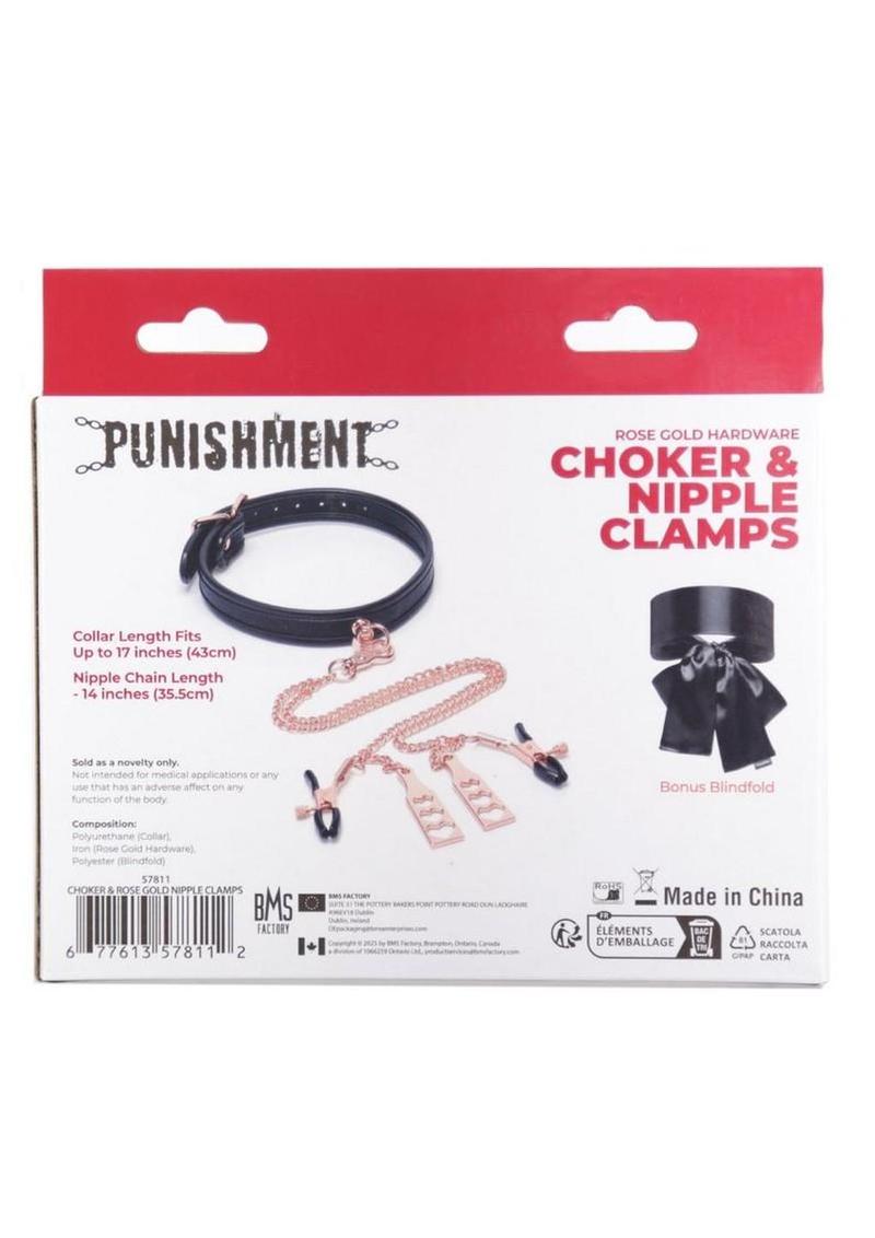 Rose Gold Hardware Choker and Nipple Clamps