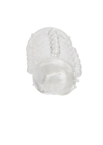 CalExotics Stud Extender Girth And Pleasure with Scrotum Support Ring
