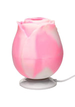 Bloomgasm Rose Lover’s Gift Box