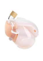 BlueLine Full Restraint Cock and Balls Chastity Device