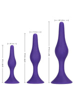 Booty Call Booty Trainer Starter Kit Silicone Anal Plugs