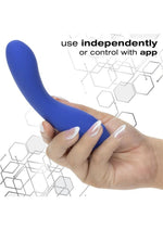 CalExotics Connect Warming Wand Vibrator