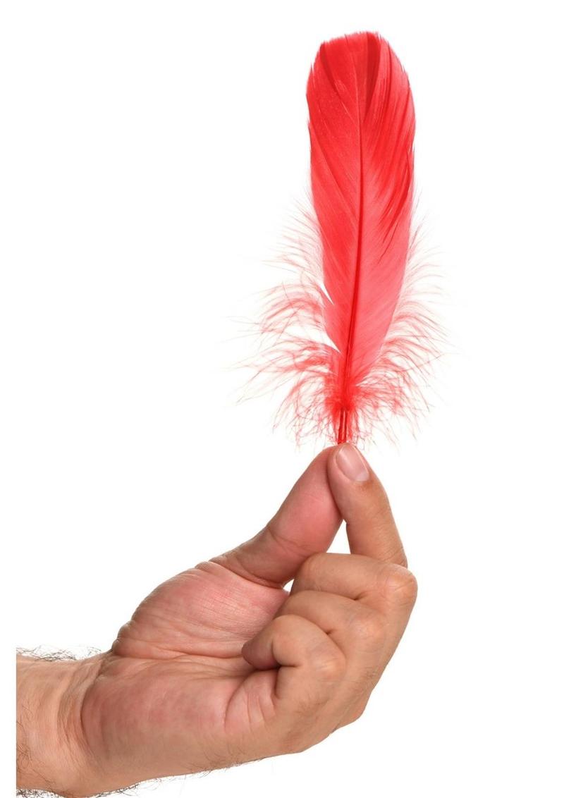 Frisky Anal Itch Relief Inc Hilarious Prank Gift for That Special Someone