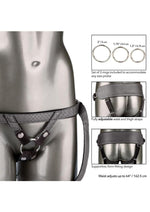 Her Royal Harness: The Regal Princess Strap-On