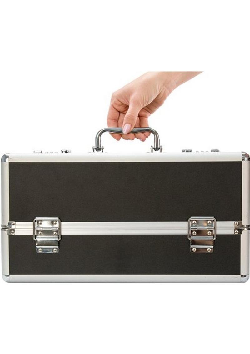BMS Lockable Toy Case