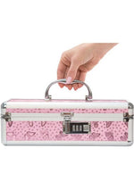 BMS Lockable Toy Case