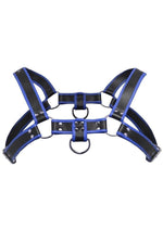Master Series Bulldog Harness - Blue