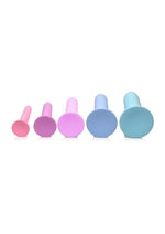 Passion Silicone Pelvic Kegel Exerciser Set