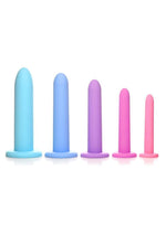 Passion Silicone Pelvic Kegel Exerciser Set