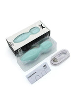Pixey 2GO Rechargeable Mini Wand