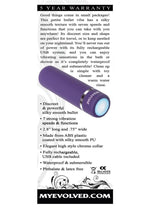 Purple Passion Rechargeable Silky Smooth Bullet Vibrating