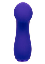 Raven G Pleaser Mini Vibrator