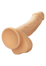 CalExotics Studs Dual Density Silicone Dildo 6.25 Inch Realistic Cock