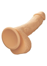 CalExotics Studs Dual Density Silicone Dildo 6.25 Inch Realistic Cock