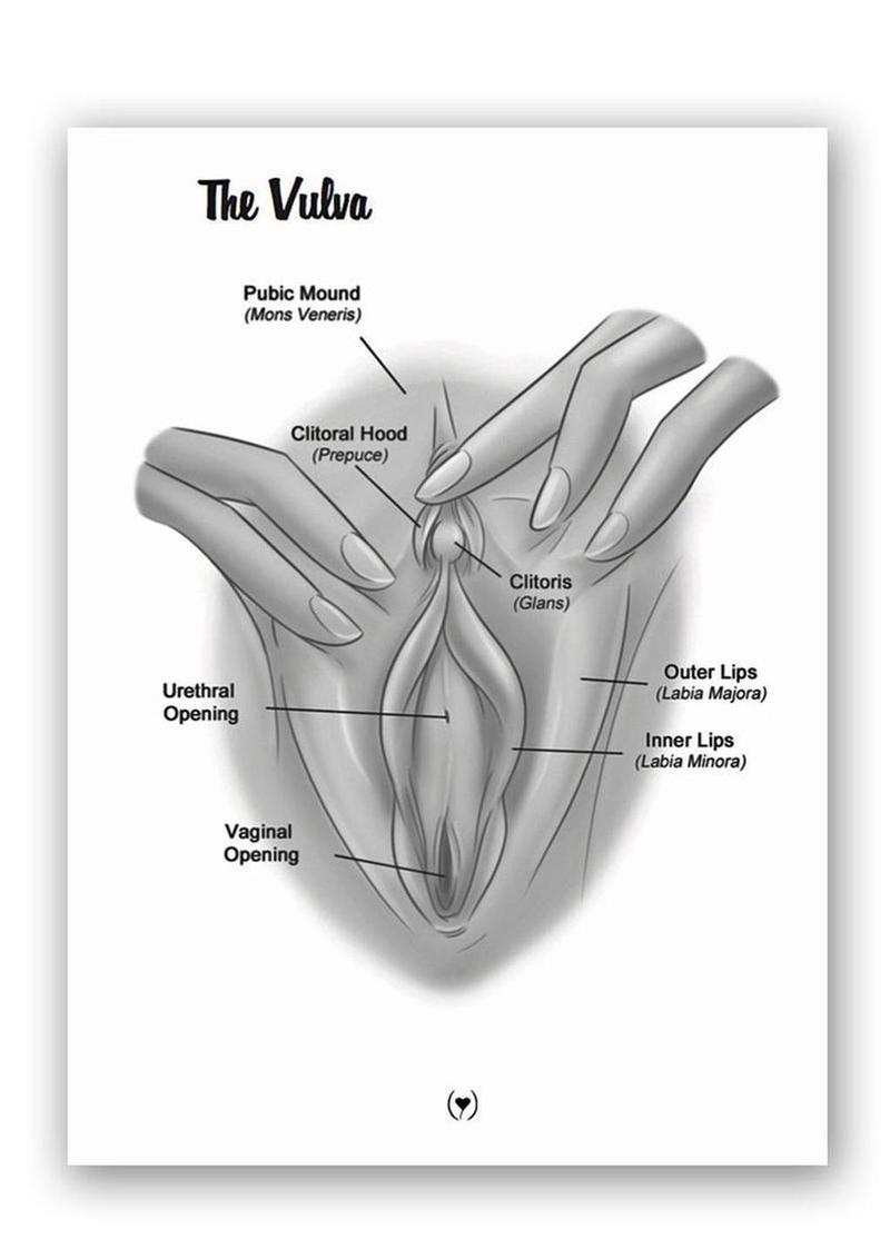 The Mystery of the Undercover Clitoris Touching Orgasmic Fingertip