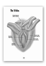 The Mystery of the Undercover Clitoris Touching Orgasmic Fingertip