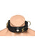 Master Series Tracer Tracking Collar