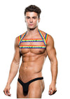 Rainbow Harness - Rainbow - Large/XLarge