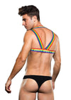 Rainbow Harness - Rainbow - Medium/Small